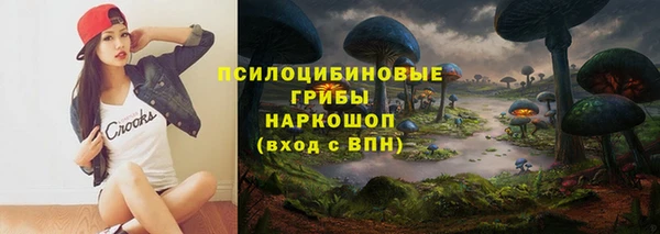 спайс Вязьма