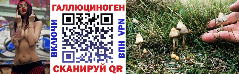 Купить  Макушино  Галлюциногенные грибы мицелий 